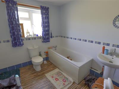 Picture 19